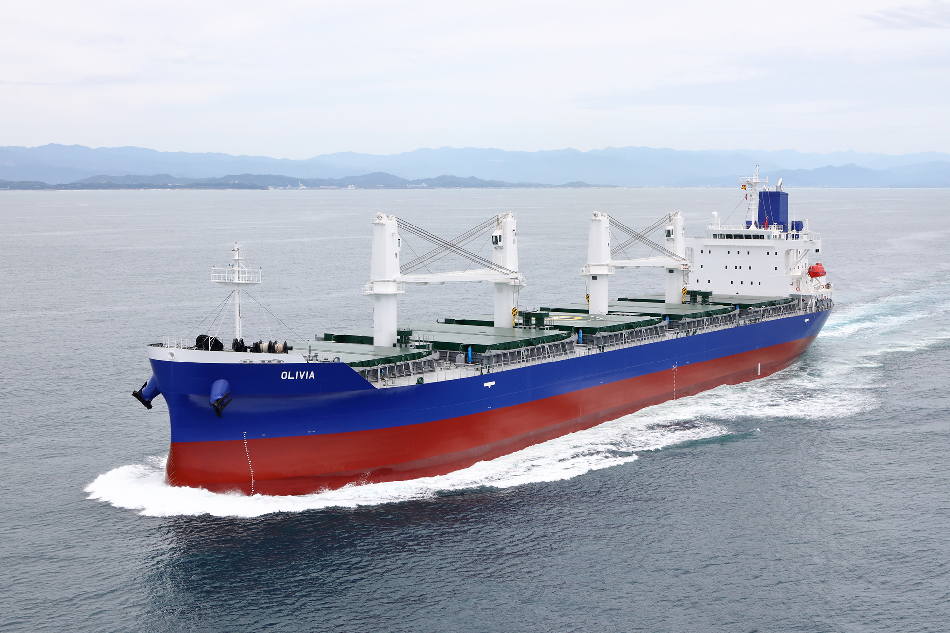 Susesea Bulk